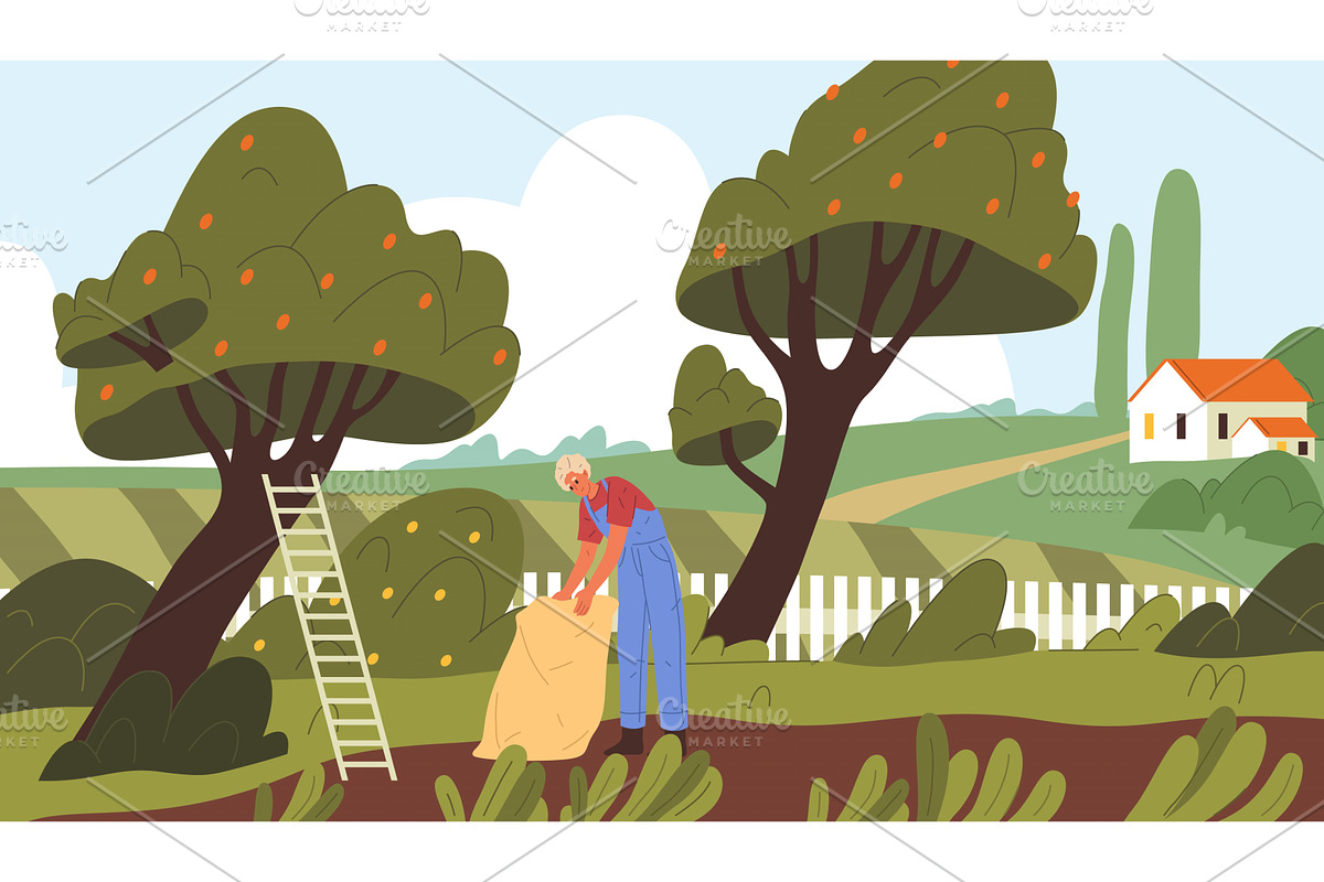 Gardener or farmer picking apples, an Illustration by Elegant Solution
