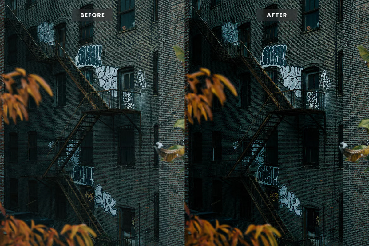 Moody Black Lightroom Presets, a Preset Add-On by Brand Earth (Photo 2 of 4)