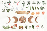 Woodland animal watercolor set, an Animal Illustration by Love Watercolor Store (Thumbnail 3 of 15)