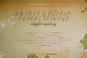 Dithagenas Font, a Handwritten Font by Letterhanna Studio (Thumbnail 13 of 14)