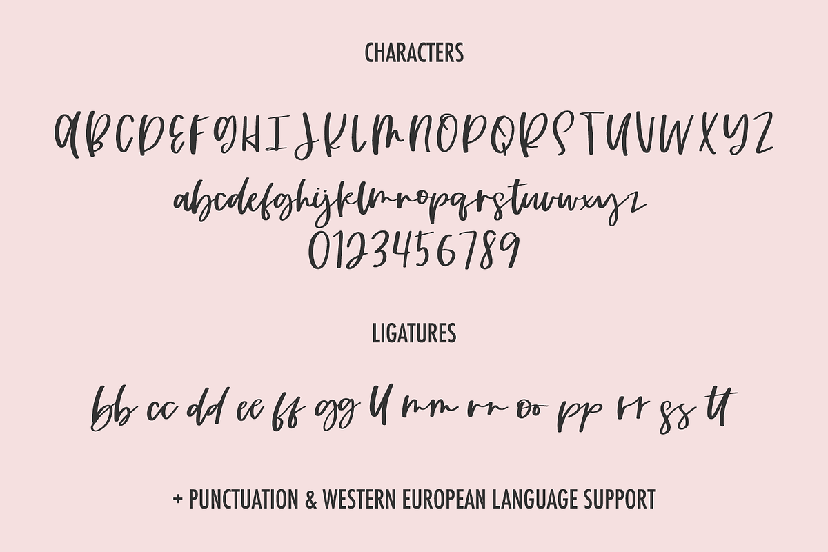Looking Glass Script, a Script Font by Beck McCormick (Photo 10 of 10)