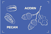 NUTS LINE ART SET (15+ elements), a Food Illustration by Bonfloret Studio (Thumbnail 10 of 10)