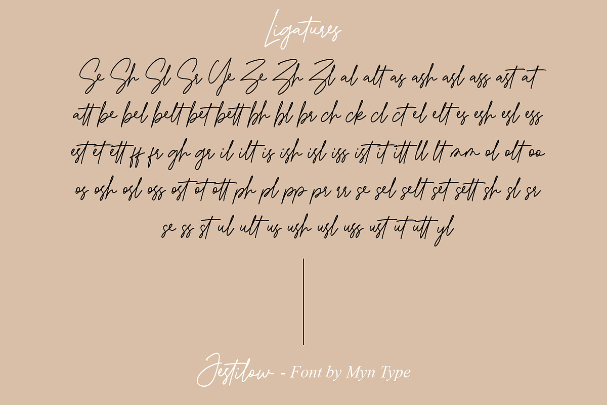 Jestilow - Monoline Handwritten Font, a Script Font by Myn Type (Photo 13 of 13)
