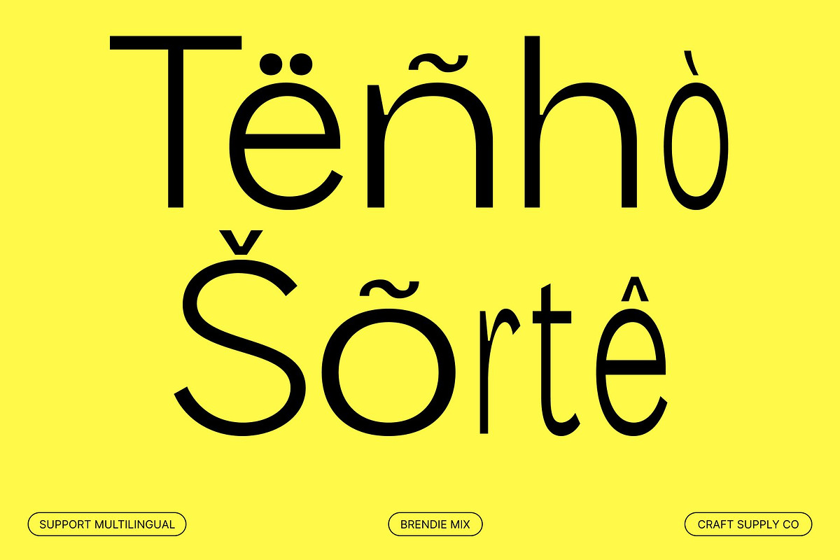 Brendie Mix, a Sans Serif Font by Craft Supply Co. (Photo 7 of 8)