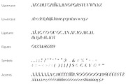 SaintMonica - Elegant Ligatures Font, a Serif Font by GraphicDash (Thumbnail 12 of 12)