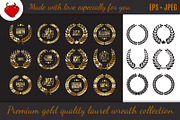 Premium quality laurel wreath set, an Icon by KundolaArt (Thumbnail 1 of 5)
