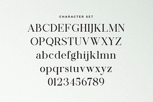 Mackin - Beautiful Serif Font