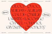 Jamila Stylist Display Serif, a Serif Font by RedyStudio (Thumbnail 2 of 12)