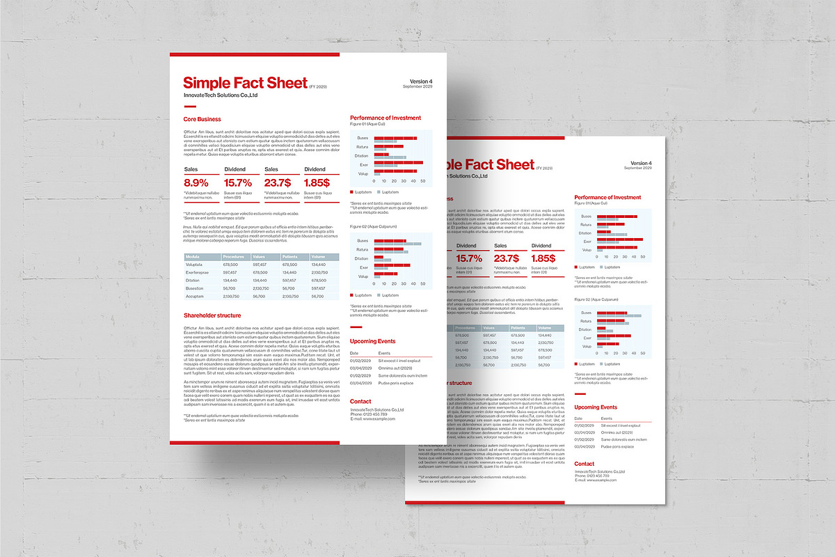 Simple Fact Sheet, a Flyer Template by BrandPacks (Photo 2 of 4)