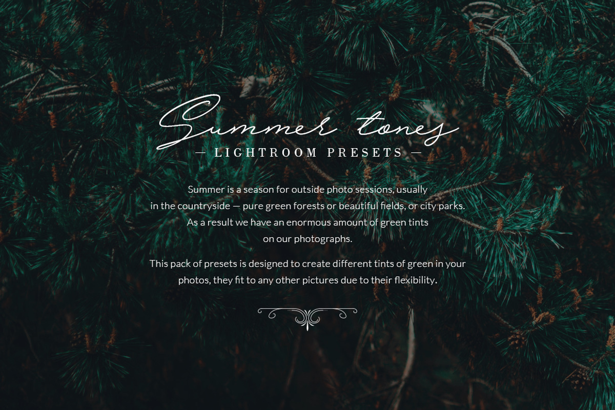 175 Summer Tones Lightroom Presets preview 2