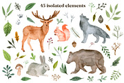 Woodland animals watercolor clipart, an Animal Illustration by alenaganzhela (Thumbnail 3 of 11)