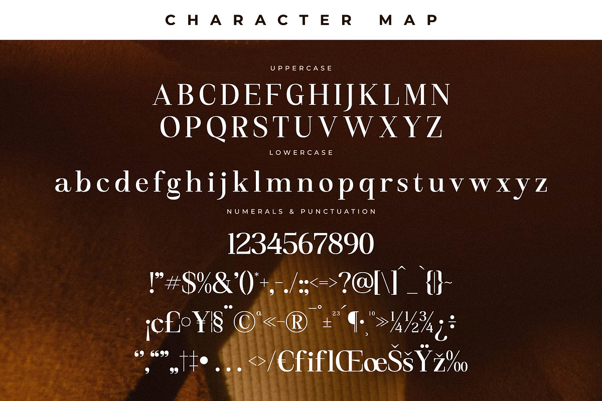 Miraden Florale Modern Serif Font, a Serif Font by Storytype Studio (Photo 13 of 15)
