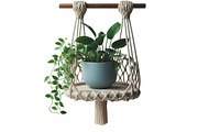 Hanging Plant Vase Watercolor Clipar, an Illustration by Designking (Thumbnail 3 of 4)