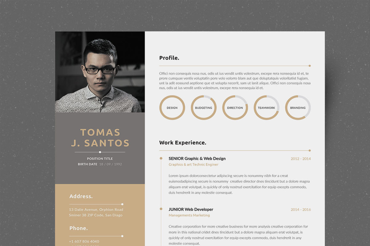 Resume/CV, a Resume Template by UX-group (Photo 2 of 7)