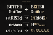 MTC Granfise - A Unique Serif, a Serif Font by Martype (Thumbnail 11 of 12)