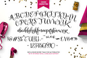 Celebrate Font & Graphics Pack, a Script Font by Callie Rian & Co. (Thumbnail 7 of 14)