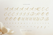 Sammybliss | Modern Calligraphy, a Script Font by Denustudios (Thumbnail 12 of 12)