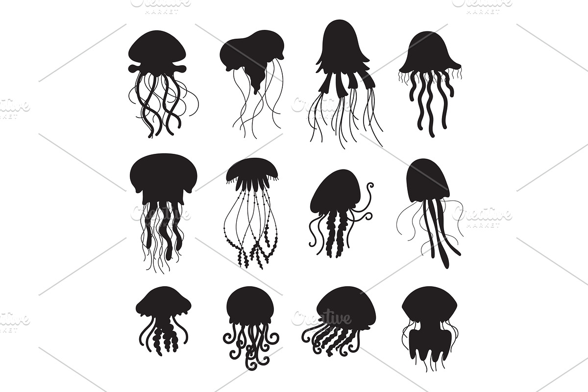 Jellyfish black silhouettes. Ocean, an Animal Illustration by LadadikArt