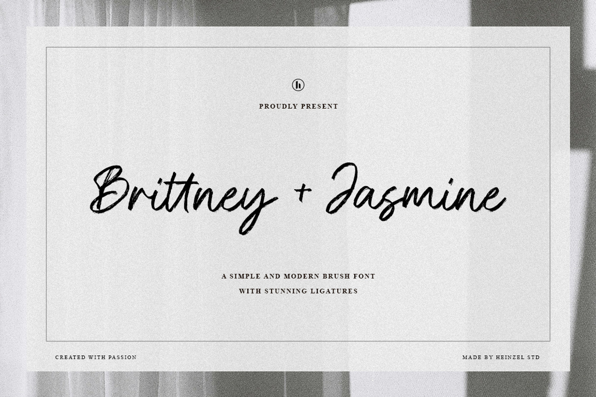 Brittney & Jasmine Brush Script Font, a Script Font by Heinzel Std (Photo 1 of 13)