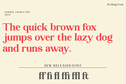 Reding, a Serif Font by Mantype Studio (Thumbnail 12 of 14)