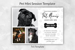 PET Mini Session Template