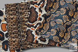 Snake Skin Scales Texture Reptile