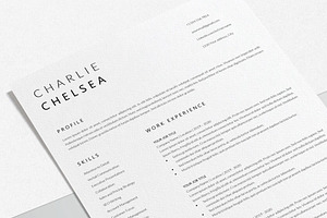 Sales Executive Resume Template