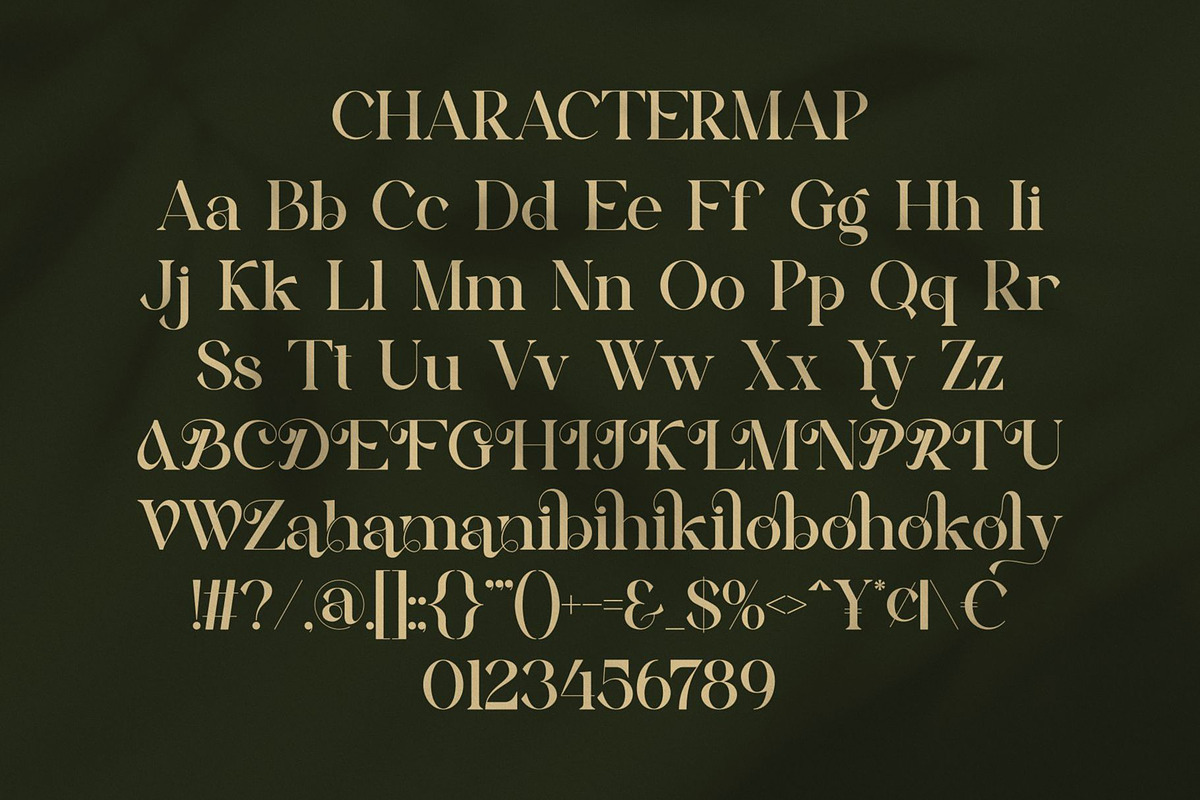Bikary || Modern Classy Serif Font, a Serif Font by Ermedia Studio (Photo 10 of 10)
