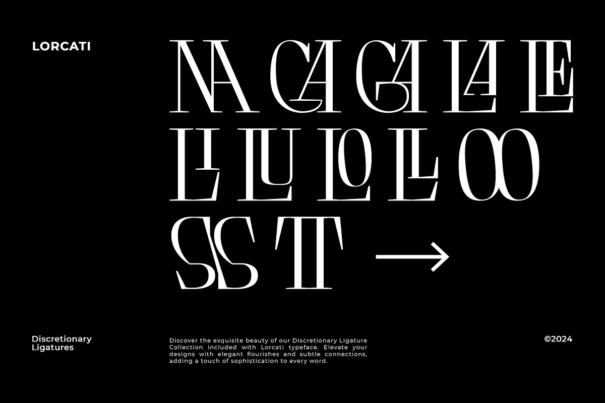 Lorcati, a Serif Font by Nathatype (Photo 9 of 10)