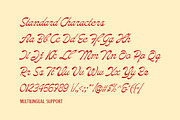 Marlean Reversed Script, a Script Font by Letterhend Studio (Thumbnail 7 of 9)