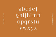 Giarek - Ligature Serif Font, a Serif Font by Nirmana Visual (Thumbnail 6 of 13)