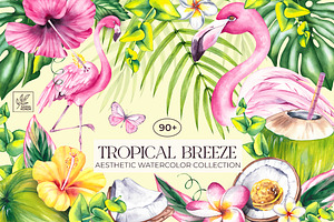 Tropical Breeze Clipart & Patterns