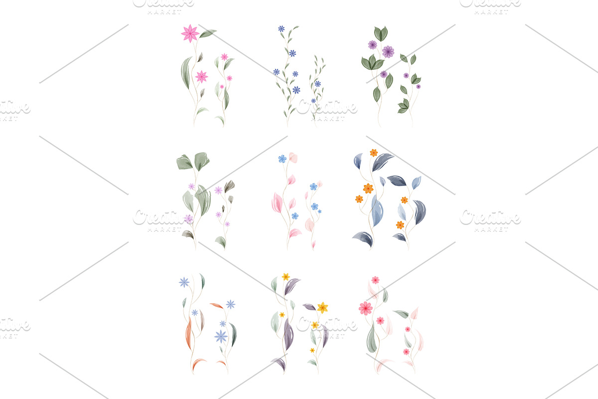 Collection of delicate watercolor, an Illustration by okskukuruza