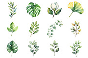 Watercolor Minimal Botanical, an Illustration by Design Market (Thumbnail 2 of 3)