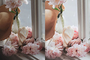 Bright & Airy Lightroom Presets, a Preset Add-On by PixaSquare (Thumbnail 4 of 7)