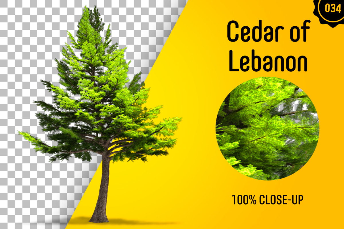 CUT OUT TREES - 60 PCS BUNDLE, a Packaging Mockup by 3DSTORE (Photo 35 of 63)