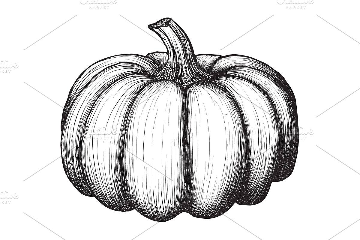 Hand-Drawn Vegetable Illustrations, a Food Illustration by BenDesigner (Photo 4 of 6)
