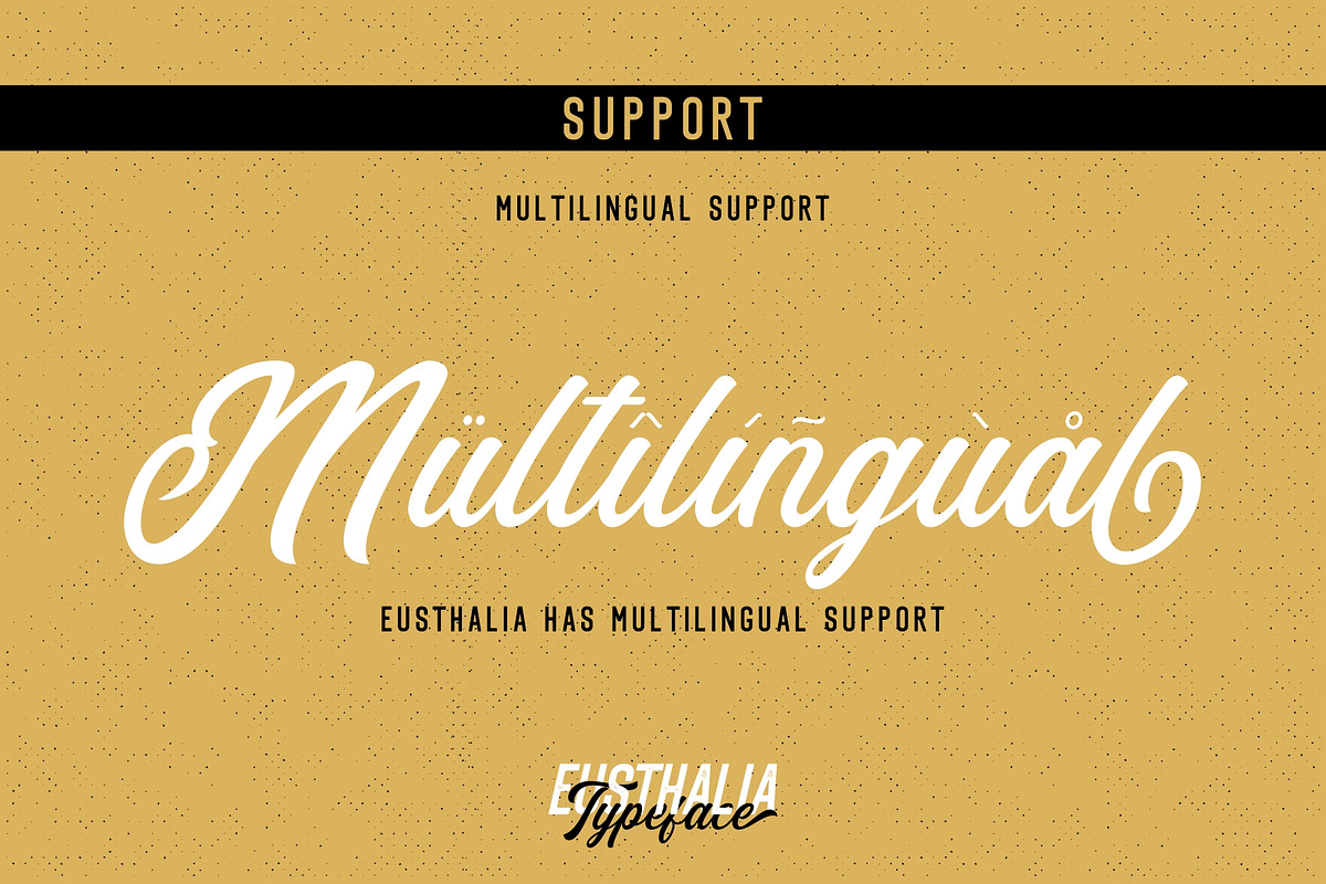Eusthalia Typeface Family (6 Fonts) preview 6