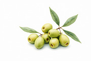 Olive Oil Watercolor Clipart Bundle, an Illustration by BIPLOB EXPERT (Thumbnail 3 of 13)