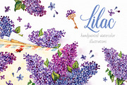 Lilac. Watercolor, a Decorative Illustration by Ekaterina Mikheeva (Thumbnail 1 of 6)
