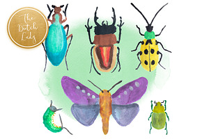 Handpainted Insect Clipart Set