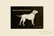 Silverado, a Slab Serif Font by Bruised Goods (Thumbnail 8 of 11)