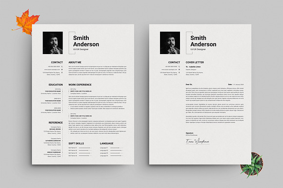 Professional Resume and Cover Letter preview 4