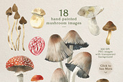 Mushroom Watercolor Clipart Set, an Illustration by STUDIO CABINET (Thumbnail 2 of 6)