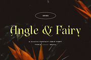 Angle & Fairy Serif, a Serif Font by Typia Nesia (Thumbnail 1 of 17)