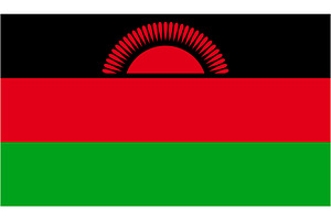 Malawi flag vector Illustration
