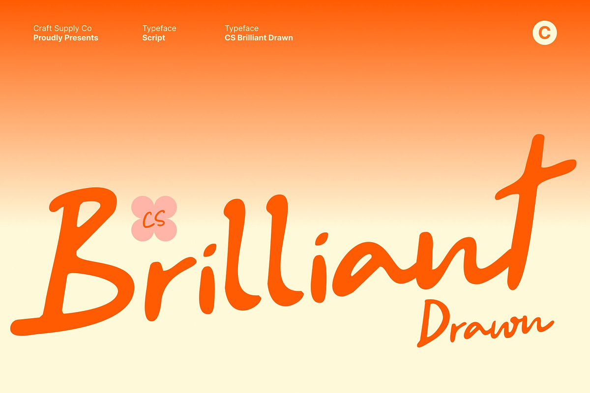 CS Brilliant Drawn, a Handwritten Font by Craft Supply Co. (Photo 1 of 8)