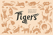 Tiger set. Vector elements, patterns, a Pattern Graphic by anna khramtsova (Thumbnail 1 of 13)