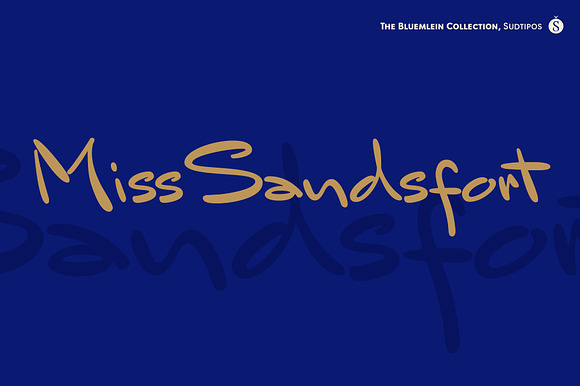 Mr Sandsfort Pro preview 7