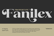 Fanilex, a Serif Font by Propertype (Thumbnail 16 of 16)